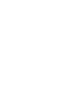 white logo-no background